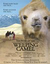 The story of a weeping camel